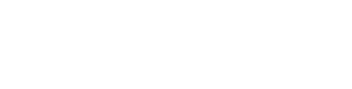 Anish Infrastructure Logo - Signatures1